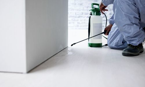 فني مكافحة نمل أبيض يقوم بمعالجة أرضية أو جدار منزل باستخدام معدات متخصصة