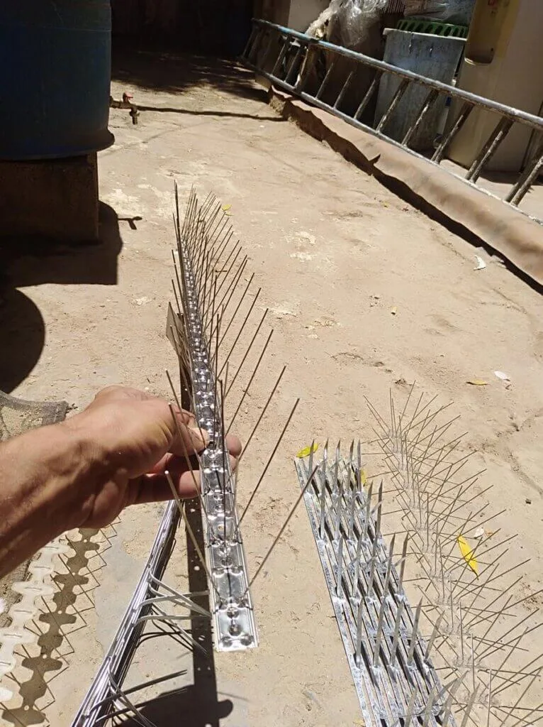 مكافحة الحمام