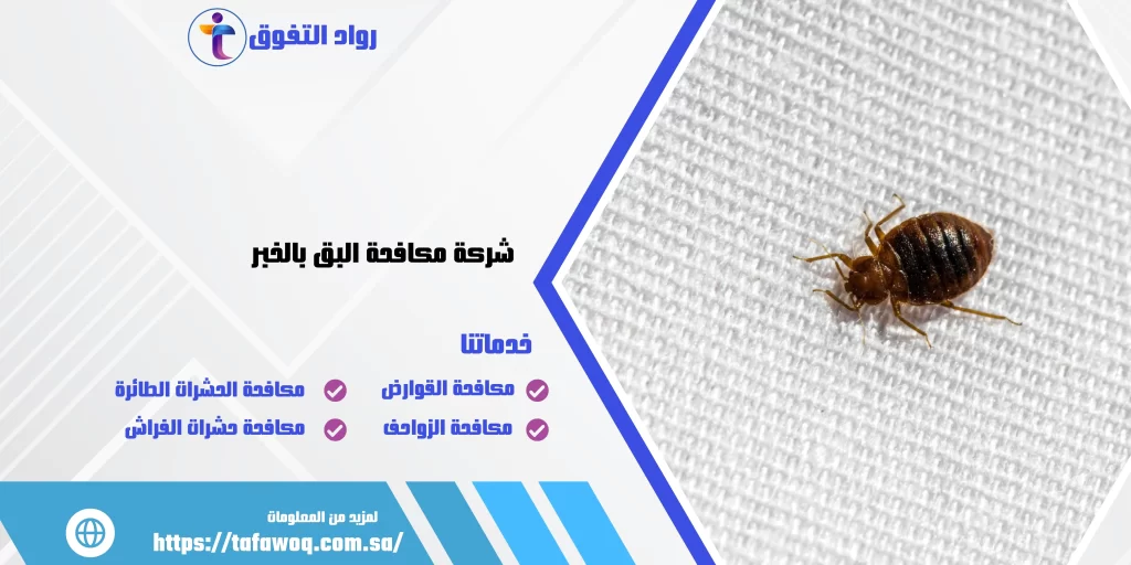 شركة مكافحة البق بالخبر