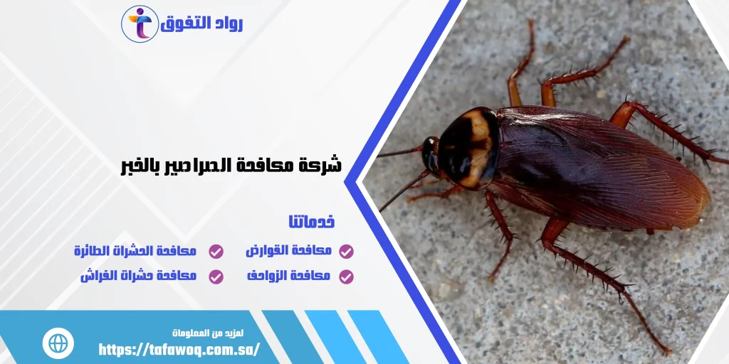 شركة مكافحة الصراصير بالخبر