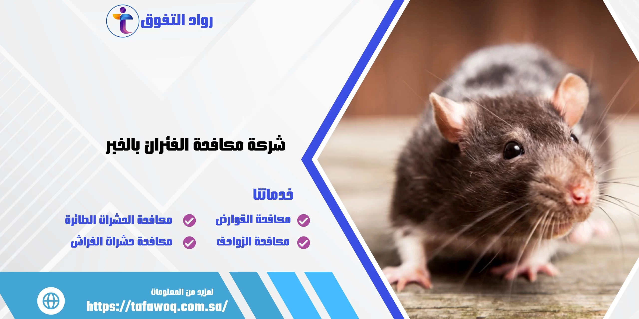 شركة مكافحة الفئران بالخبر