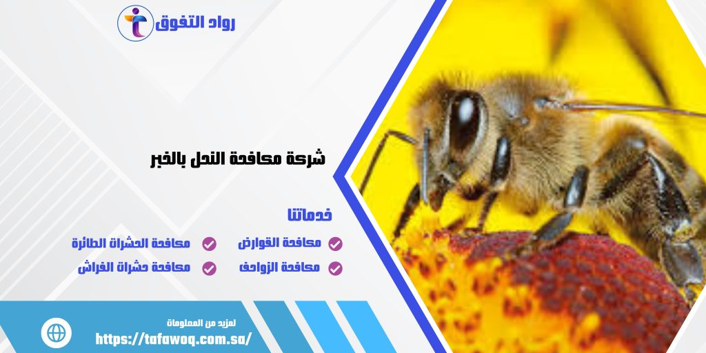 شركة مكافحة النحل بالخبر