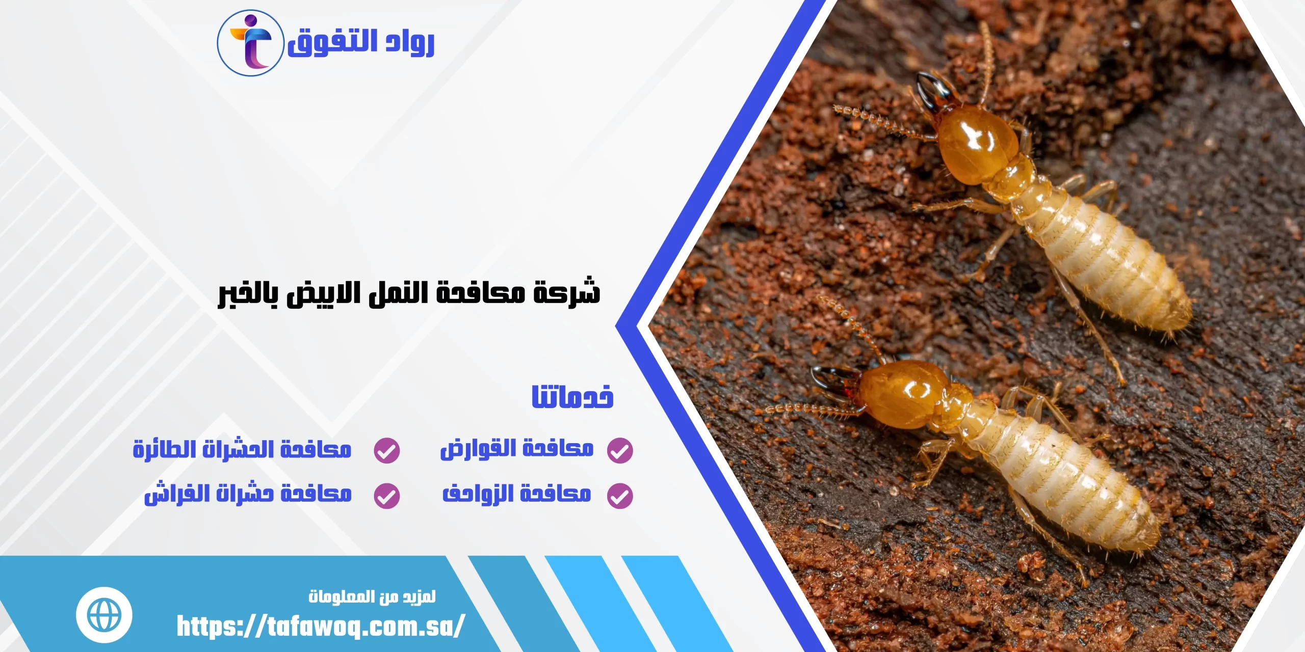 شركة مكافحة النمل الابيض بالخبر