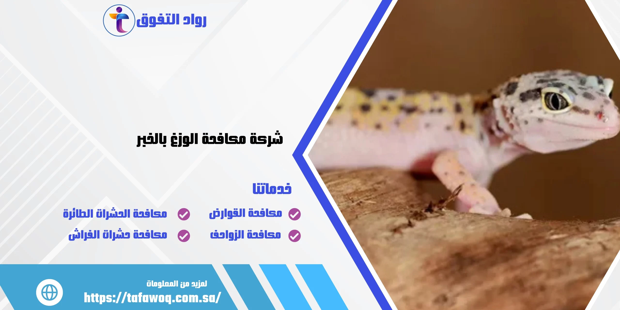 شركة مكافحة الوزغ بالخبر