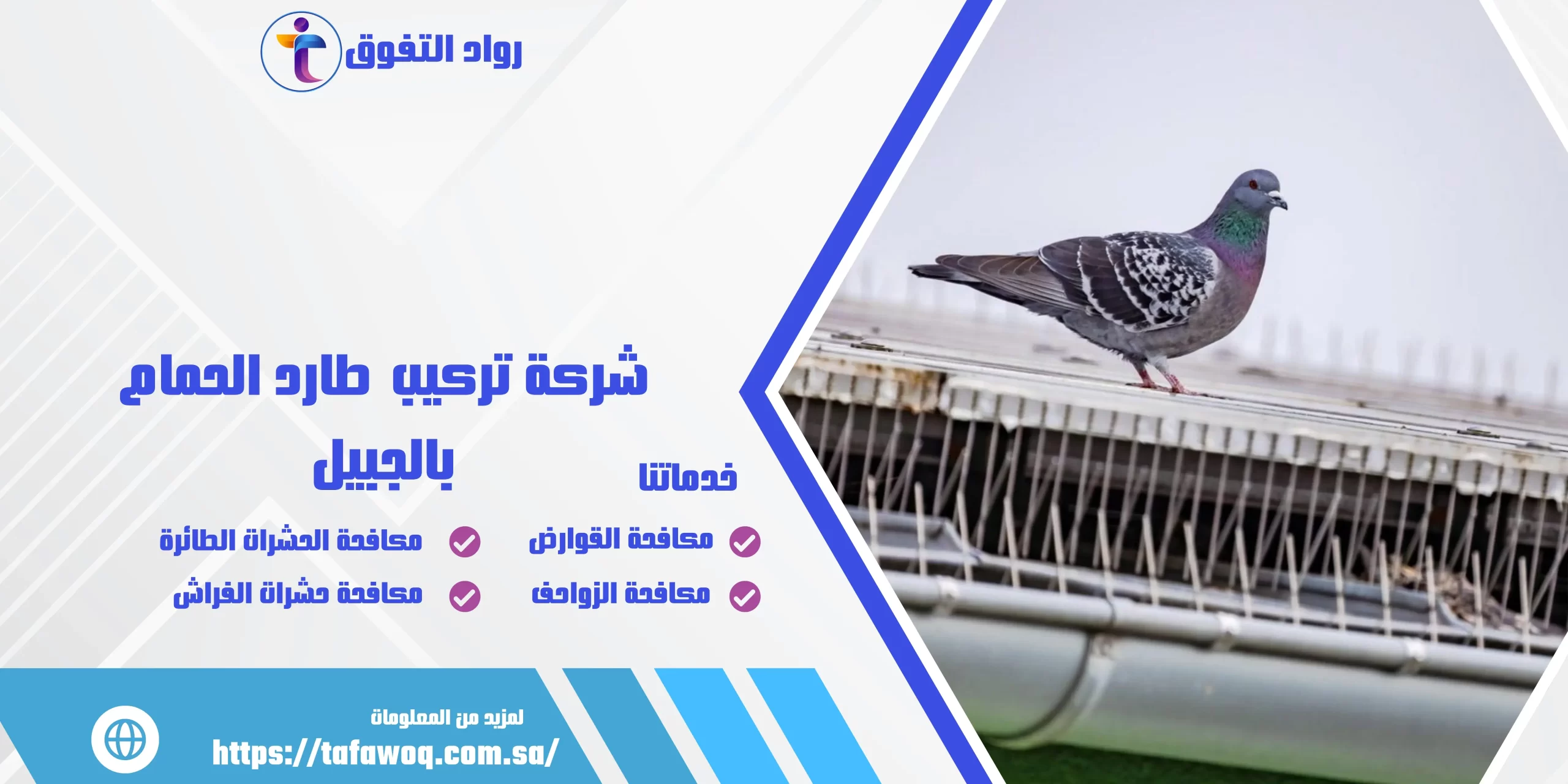 شركة تركيب طارد الحمام بالجبيل
