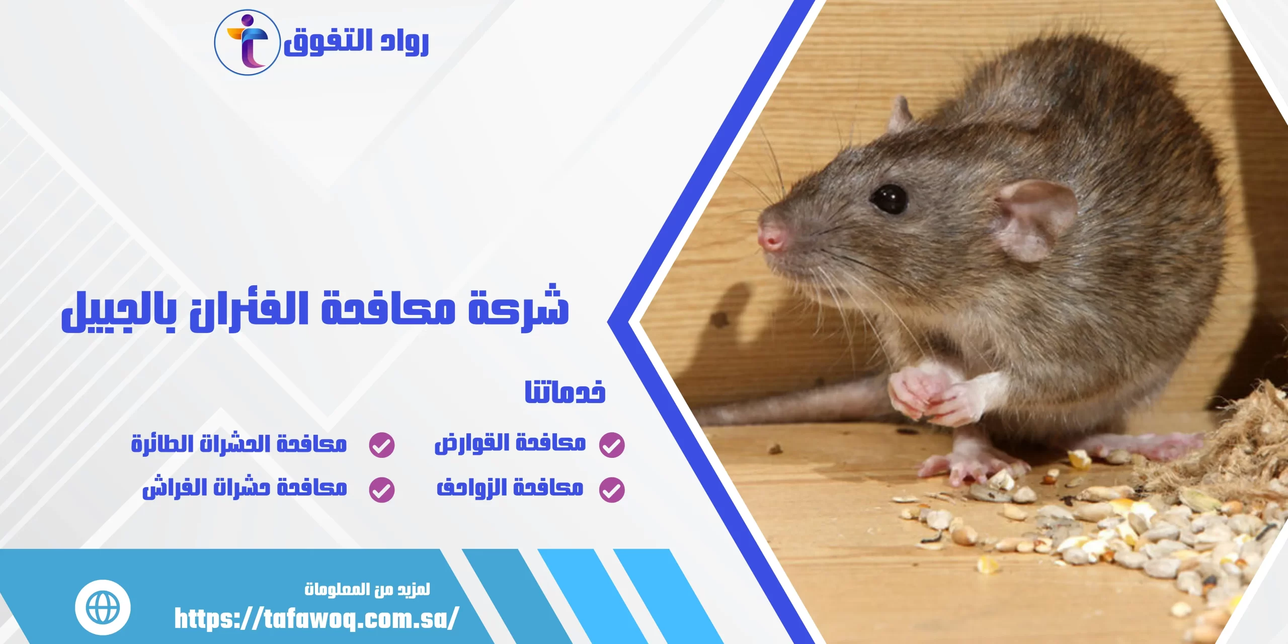 شركة مكافحة الفئران بالجبيل
