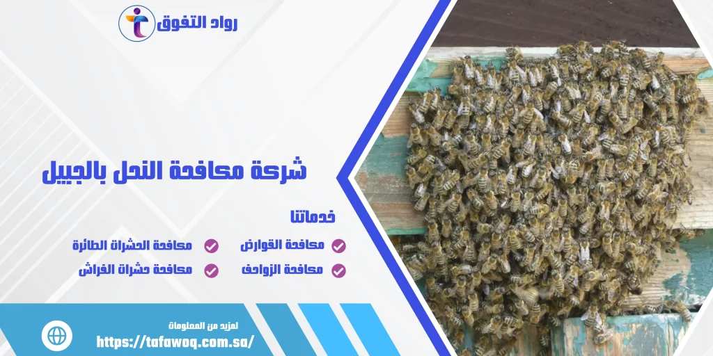 شركة مكافحة النحل بالجبيل