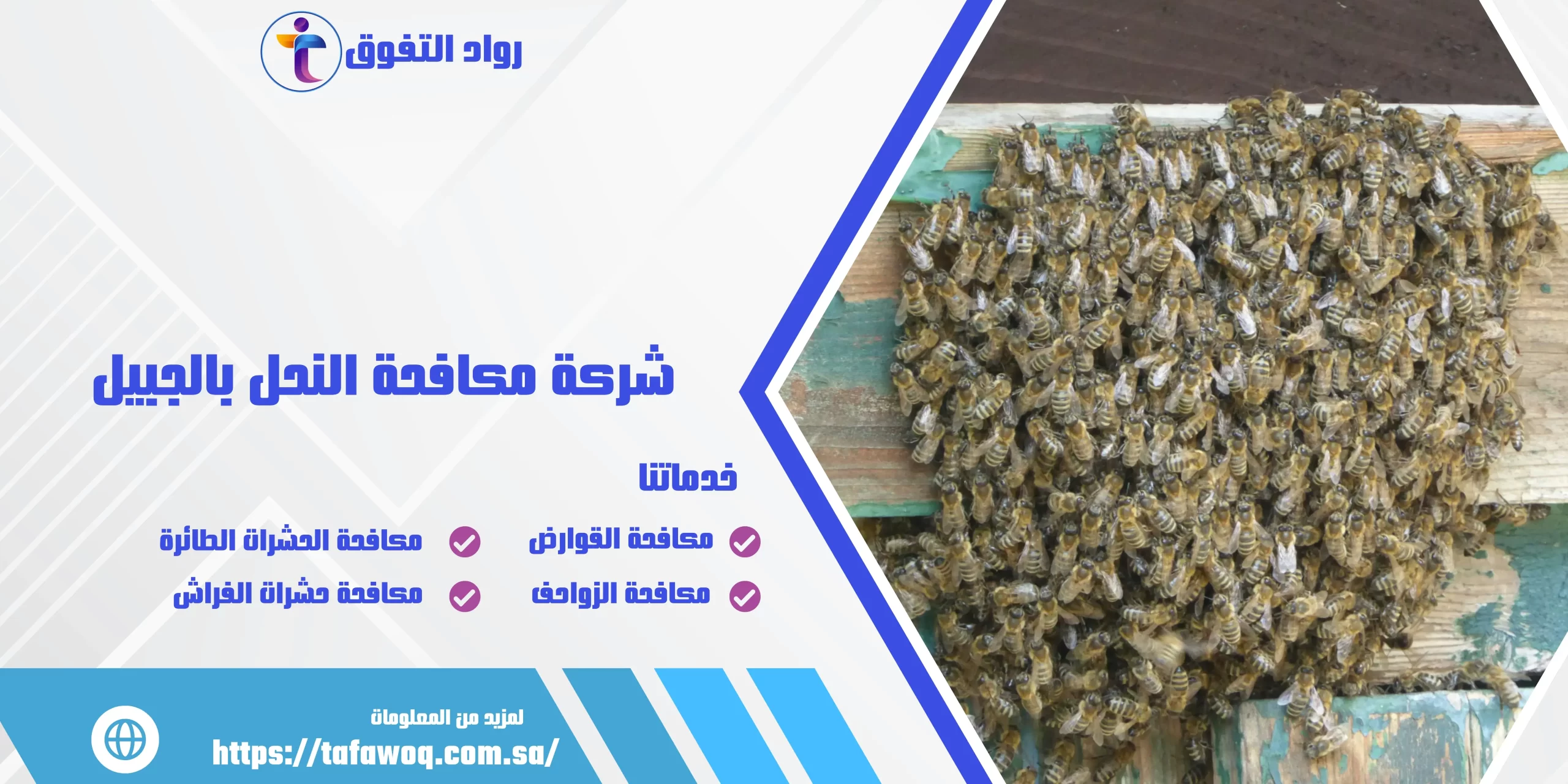 شركة مكافحة النحل بالجبيل