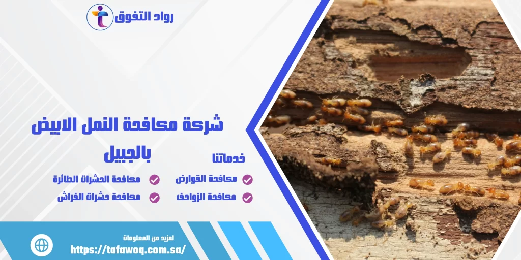 شركة مكافحة النمل الابيض بالجبيل