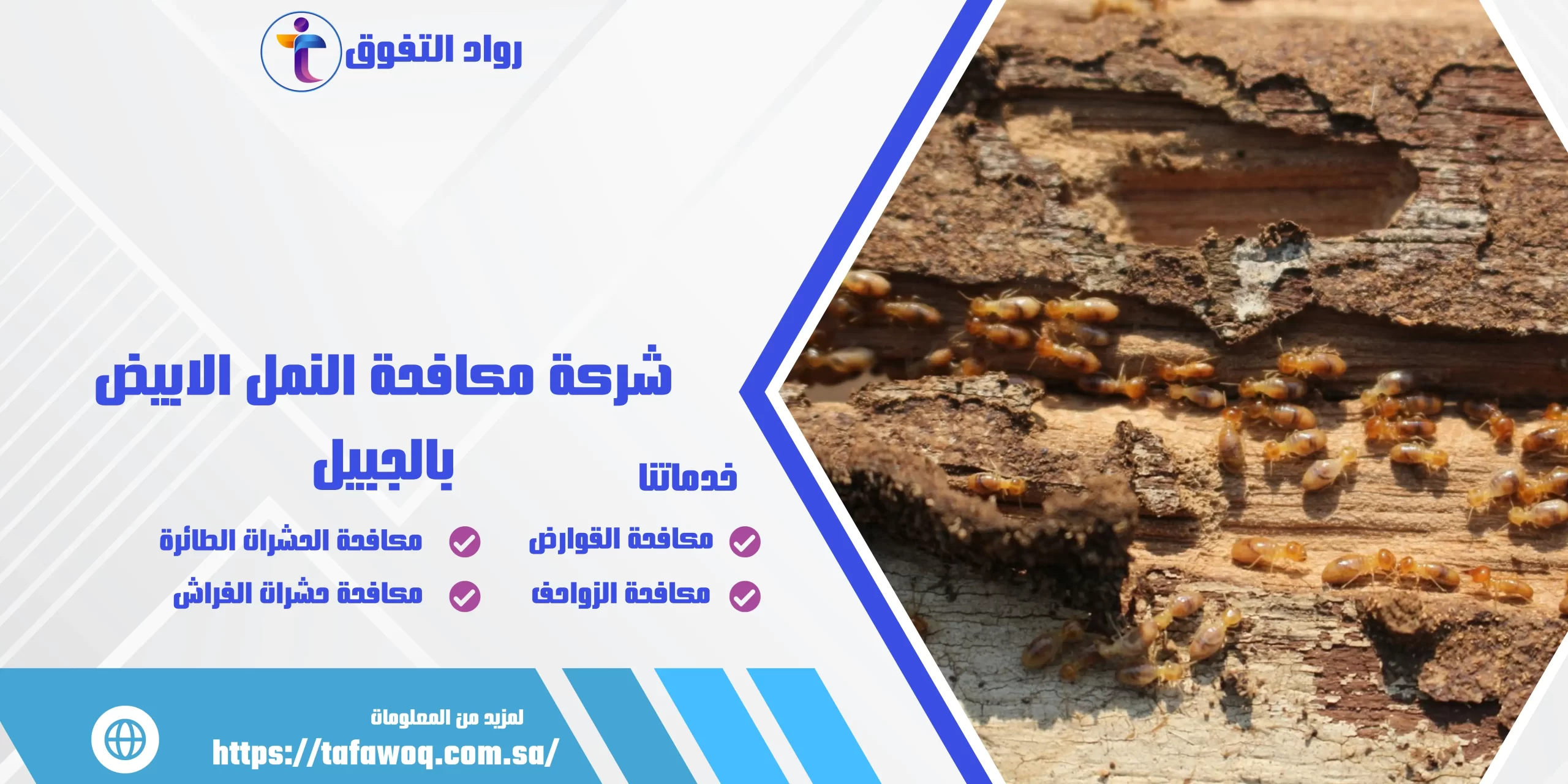 شركة مكافحة النمل الابيض بالجبيل