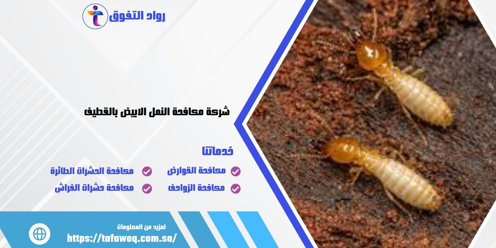 شركة مكافحة النمل الابيض بالقطيف