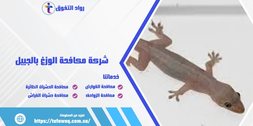 شركة مكافحة الوزغ بالجبيل