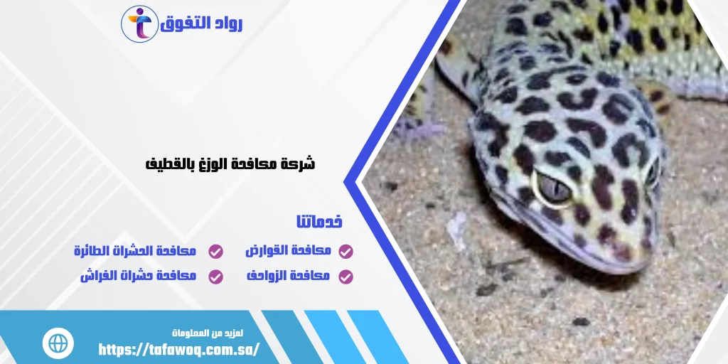 شركة مكافحة الوزغ بالقطيف