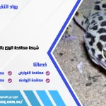 شركة مكافحة الوزغ بالقطيف