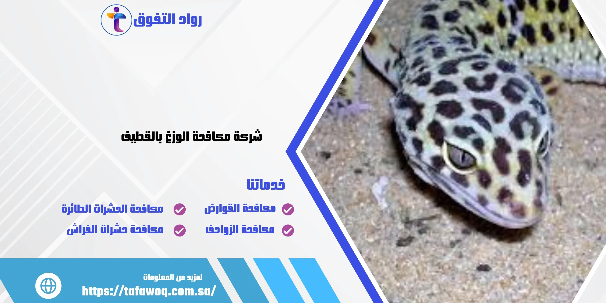 شركة مكافحة الوزغ بالقطيف