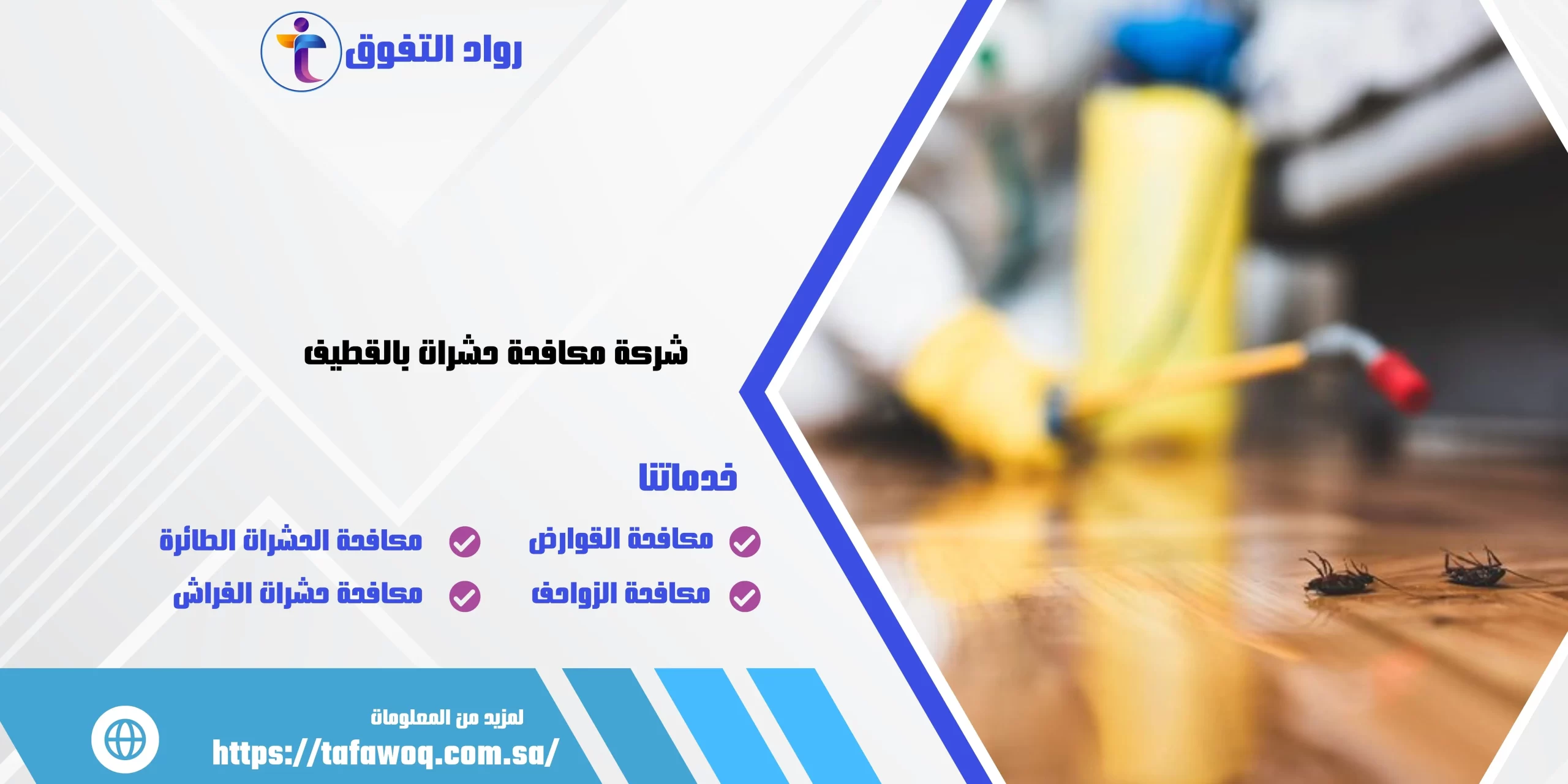 شركة مكافحة حشرات بالقطيف