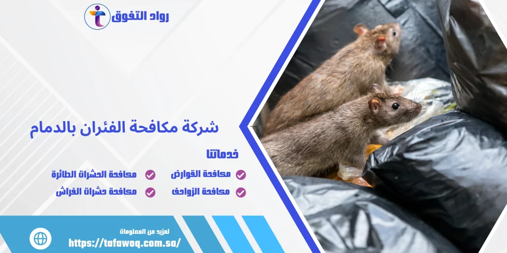 شركة مكافحة الفئران بالدمام