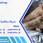 شركة مكافحة الفئران بالدمام