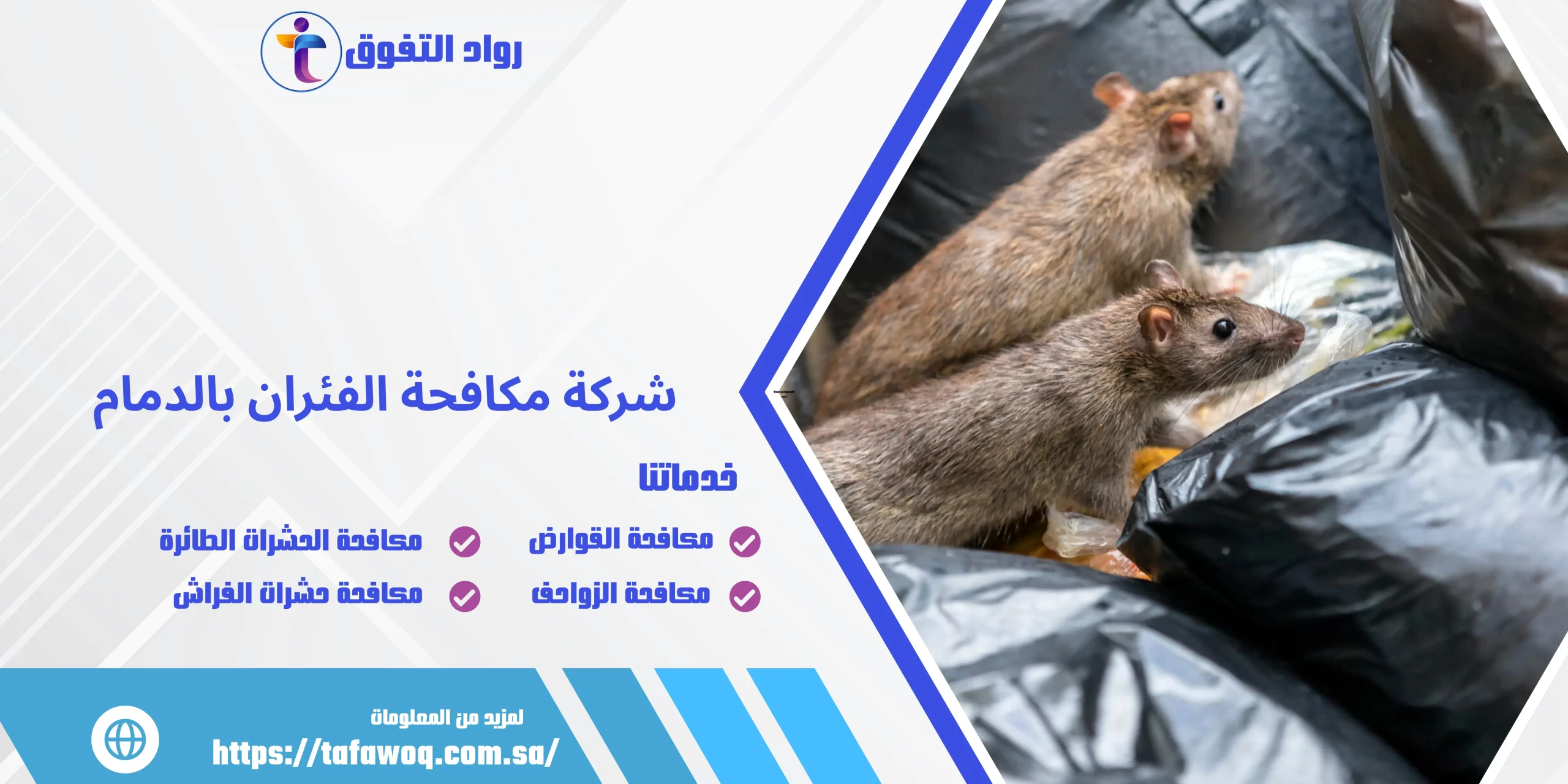 شركة مكافحة الفئران بالدمام