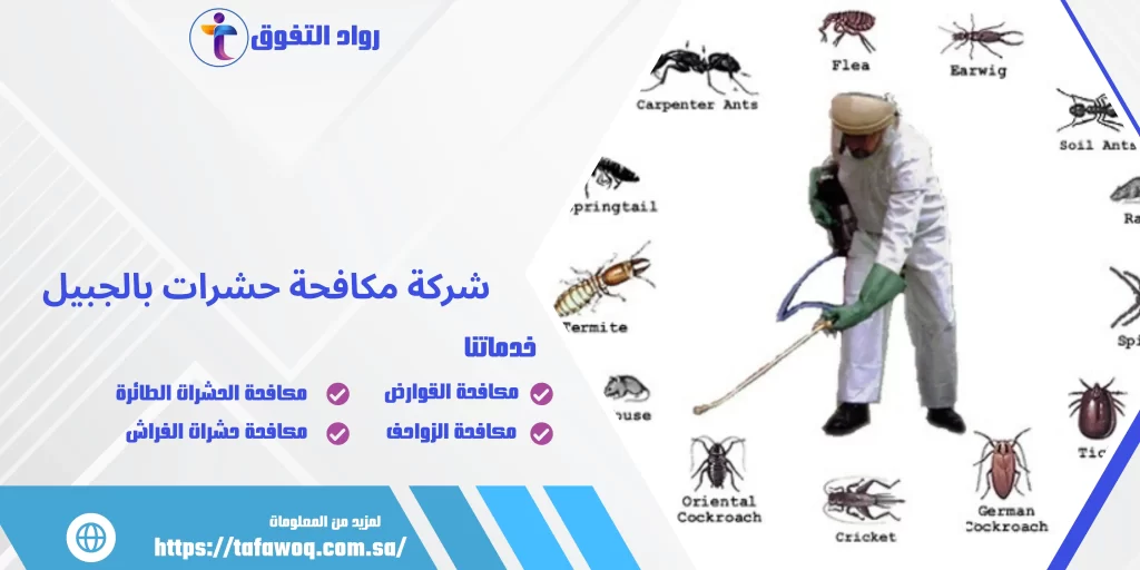 شركة مكافحة حشرات بالجبيل