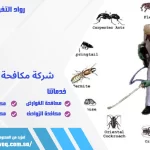 شركة مكافحة حشرات بالجبيل
