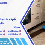 شركة مكافحة النمل الابيض بالدمام