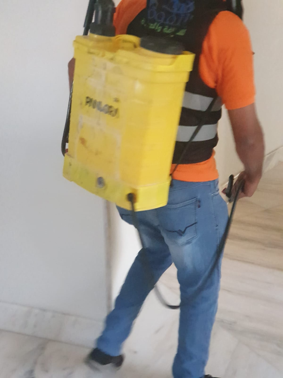 القضاء على الحشرات المنزلية
