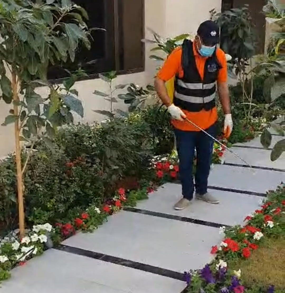 القضاء على حشرات الحديقة
