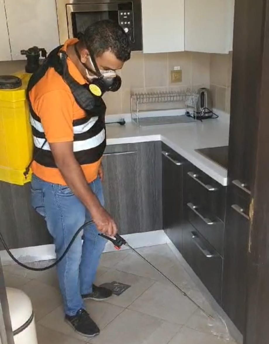 شركة ابادة الحشرات
