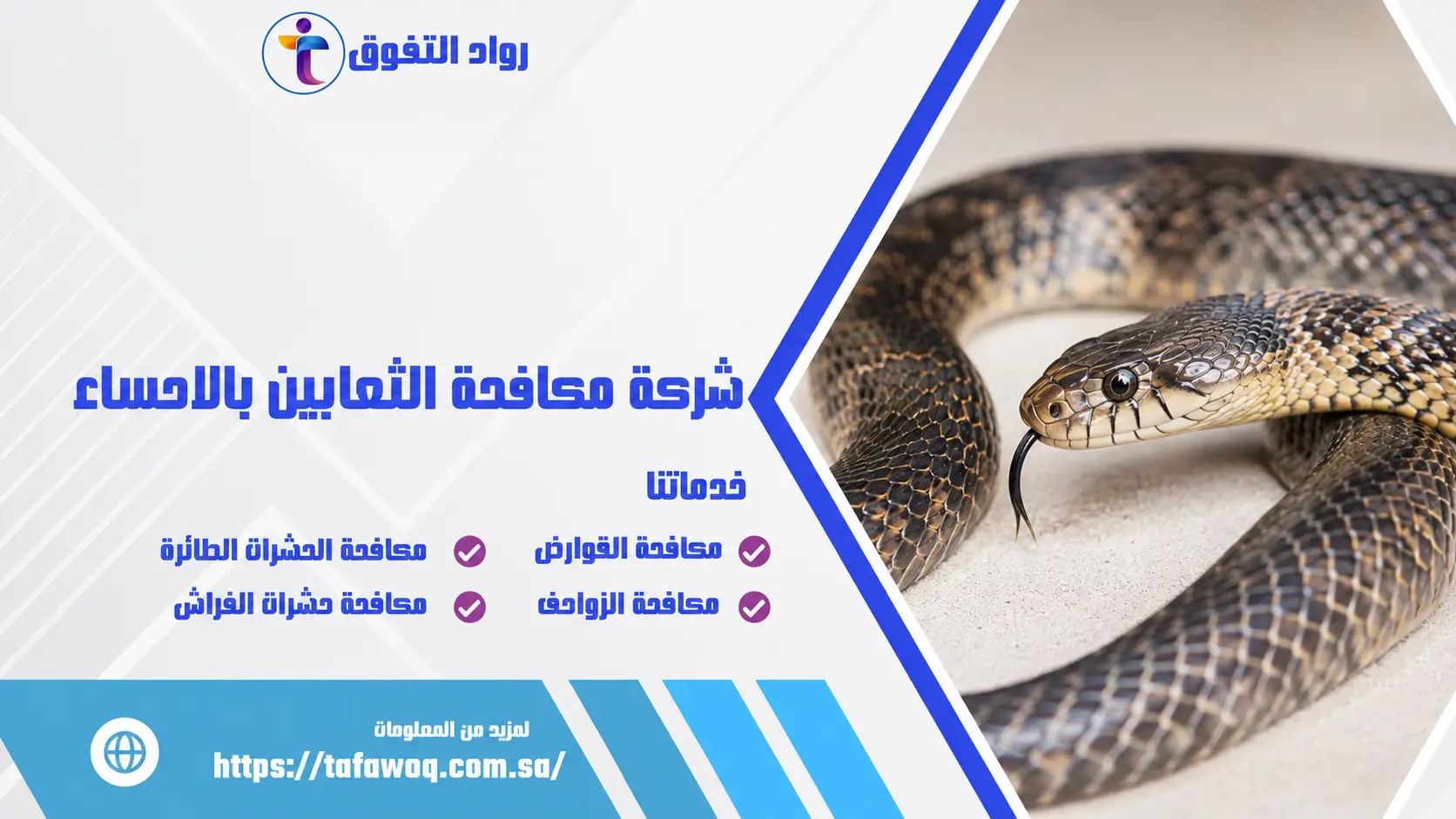 شركة مكافحة الثعابين بالاحساء