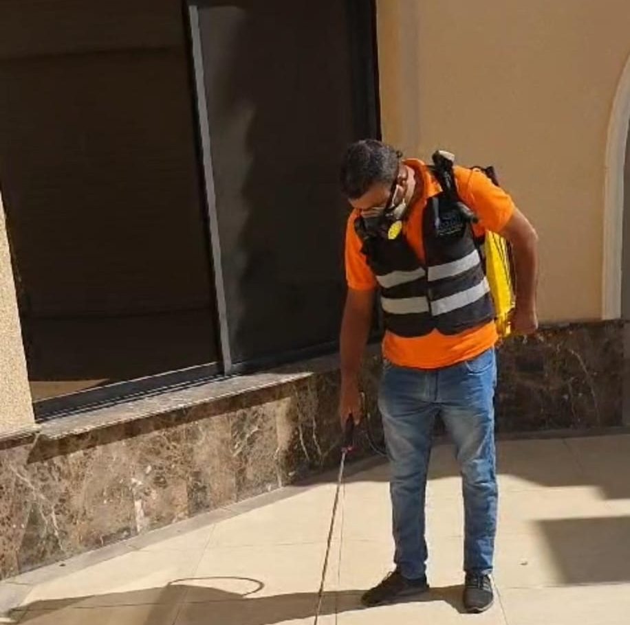 شركة مكافحة الحشرات