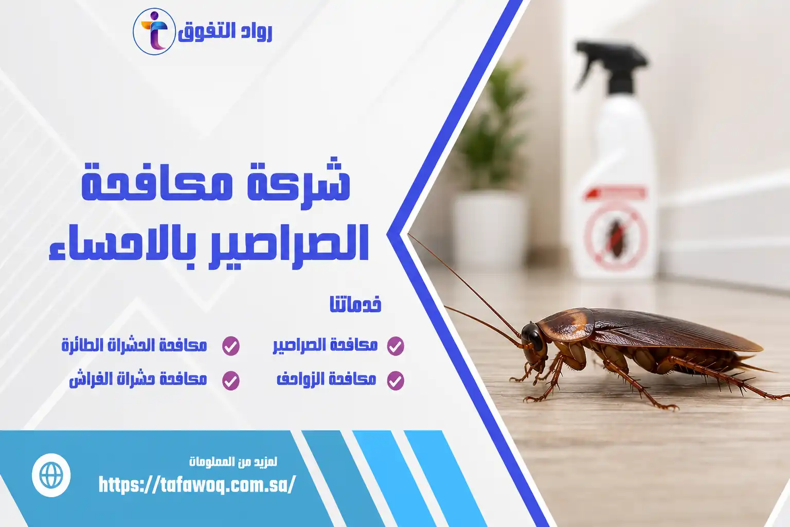 شركة مكافحة الصراصير بالاحساء