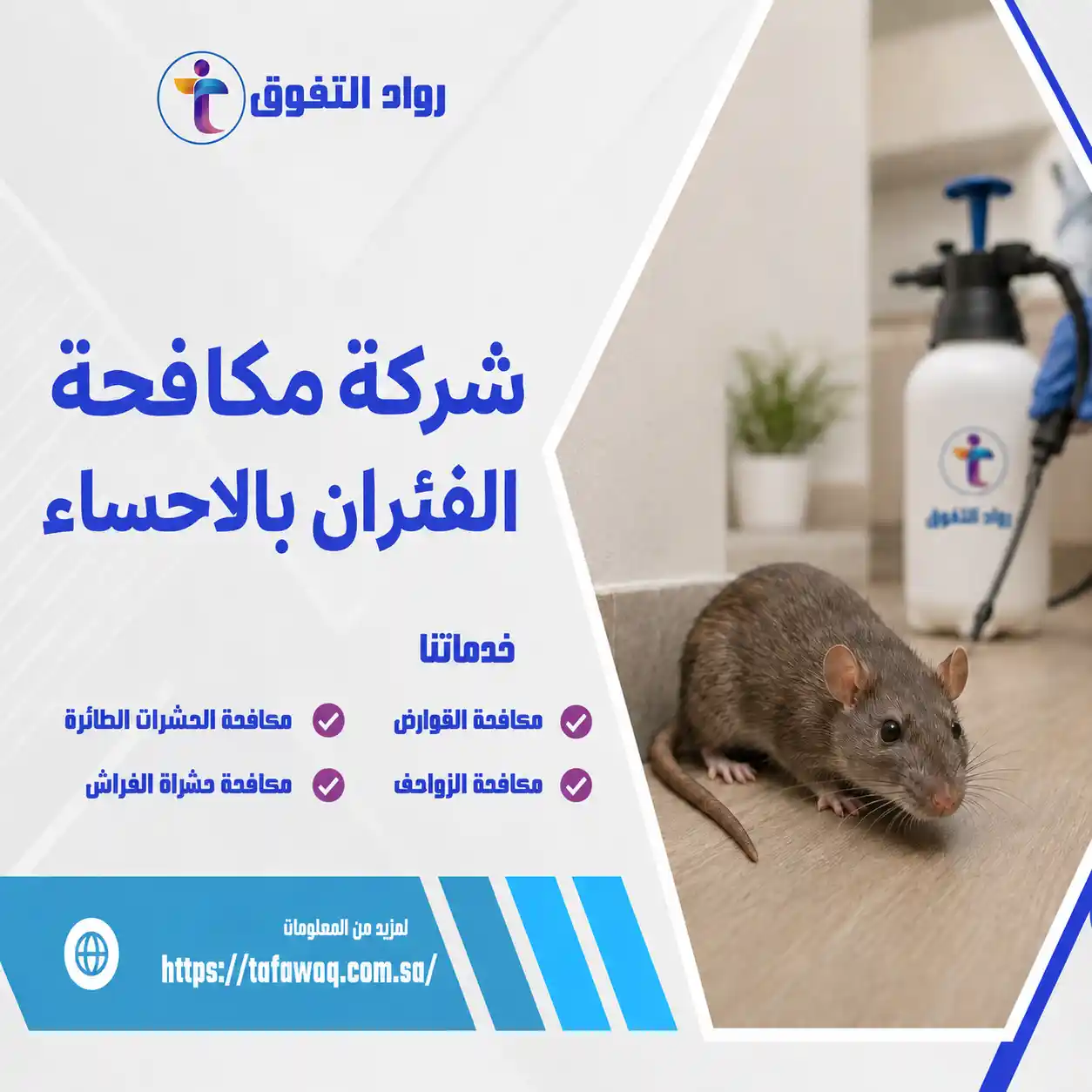 شركة مكافحة الفئران بالاحساء
