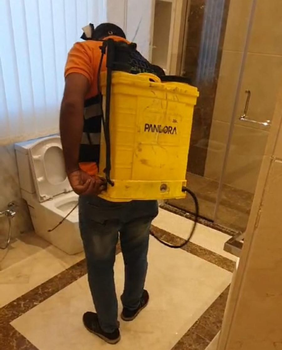 مبيد حشرات الحمام